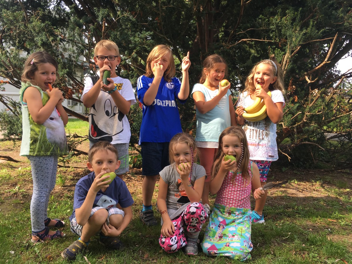 Unterstützen Sie mit einer Spende für Obst &&nbsp;Gemüse!