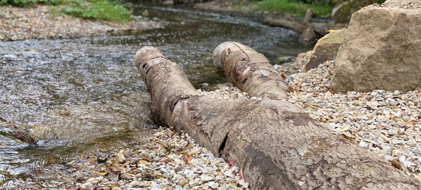 Ein Traum wird wahr – unser&nbsp;Bildungsdorf!