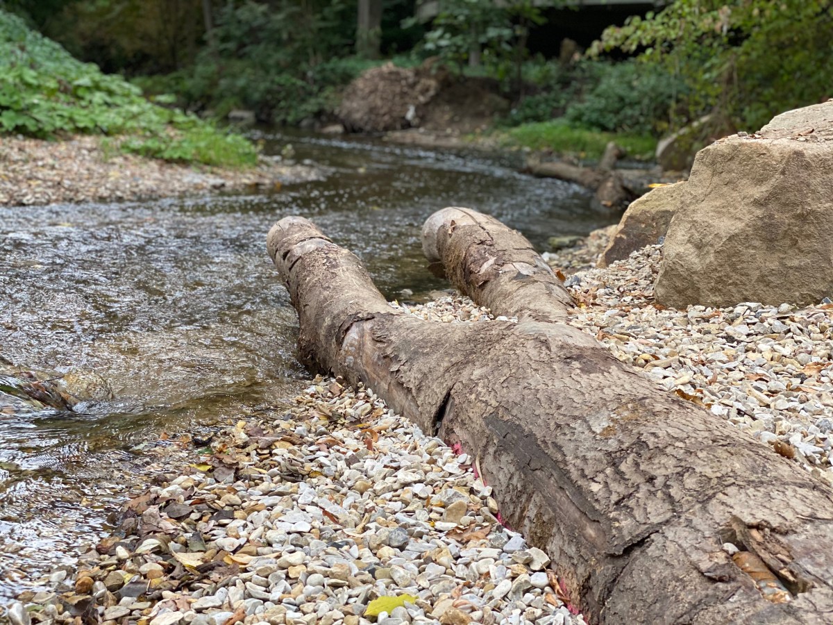 Ein Traum wird wahr – unser&nbsp;Bildungsdorf!