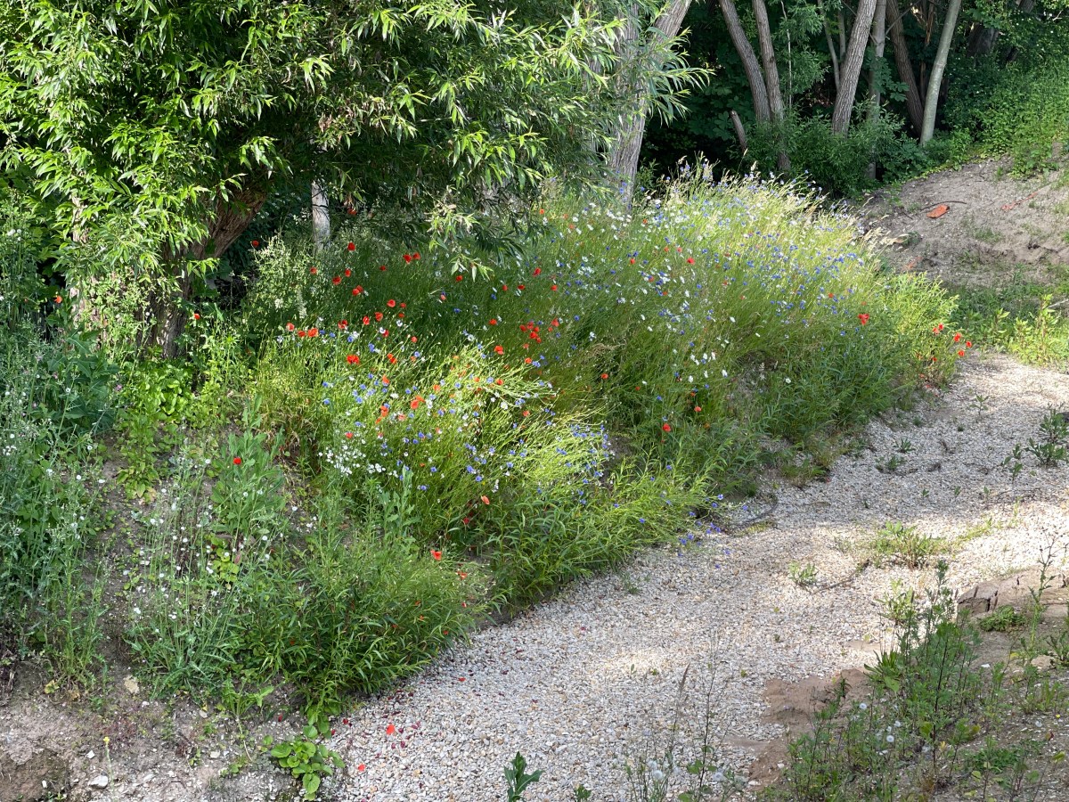 Neue Anschaffungen und finanzierte Projekte –&nbsp;2021.