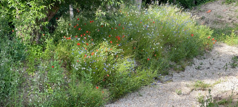 Neue Anschaffungen und finanzierte Projekte – 2021.