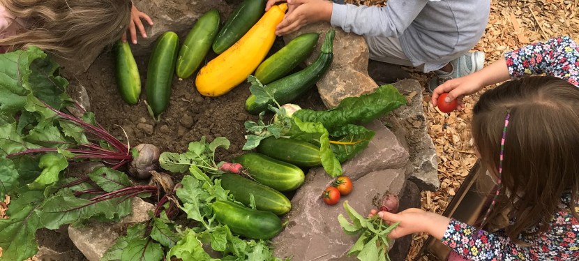 Gestaltung Bildungsdorf