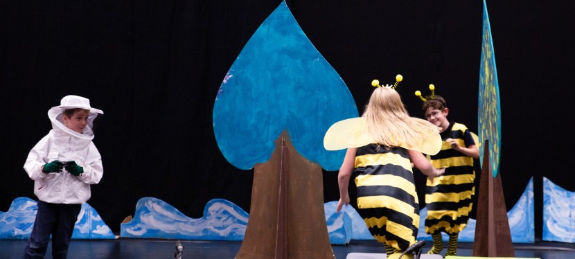 Anschaffungen und finanzierte Projekte –&nbsp;2024/2025.