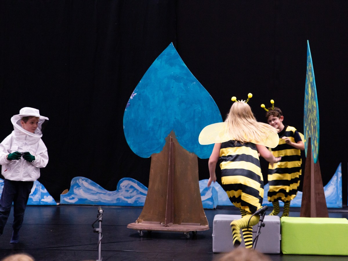 Anschaffungen und finanzierte Projekte –&nbsp;2024/2025.