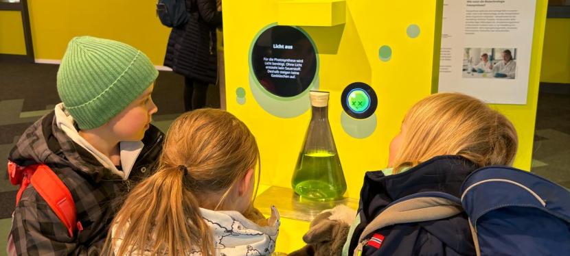 Anschaffungen und finanzierte Projekte –&nbsp;2024/2025.