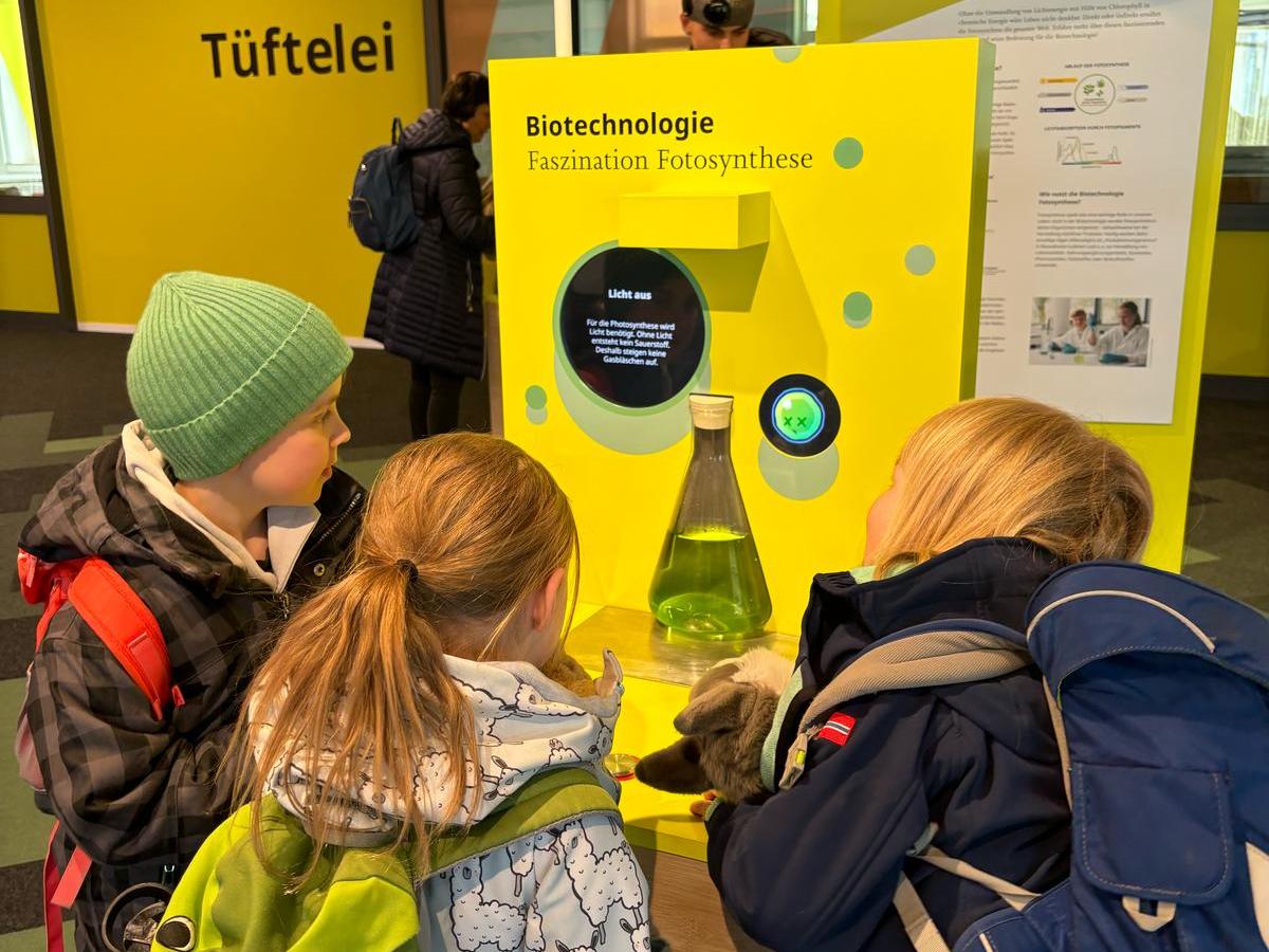 Anschaffungen und finanzierte Projekte –&nbsp;2024/2025.